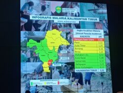 Waspada, Kasus Malaria Di Kaltim Meningkat