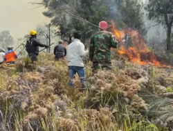 Api Masih Menjalar di Sabana Bromo, Berpotensi Hanguskan Puncak Bukit Teletubbies