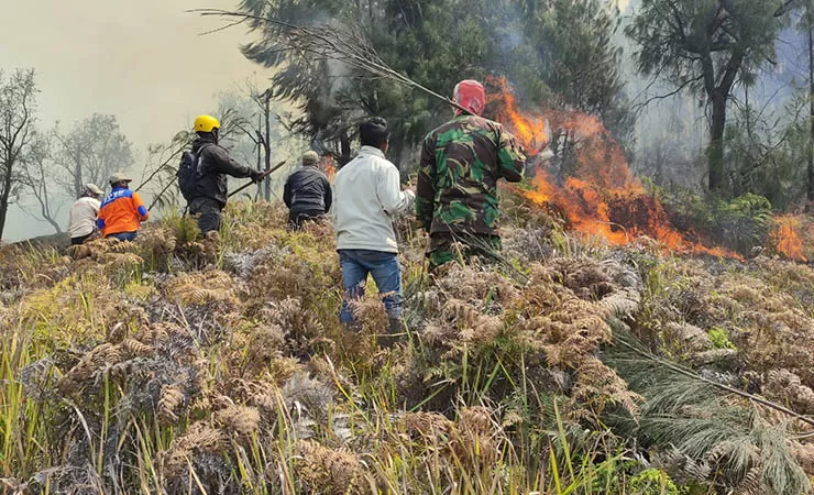Api Masih Menjalar di Sabana Bromo, Berpotensi Hanguskan Puncak Bukit Teletubbies