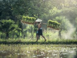 Petani Jadi Tonggak Kesejahteraan Bangsa