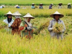 Mutu Pangan Kaltim Di Uji, Seno Aji : Tingkatkan Kualitas Produksi Tani