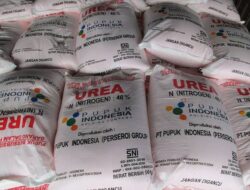 Ketersediaan Pupuk Minim, Ananda : Desak Pemerintah Berikan Perhatian