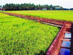 Samsun Sorot Efektivitas Pengelolaan Air Sawah Manunggal Jaya