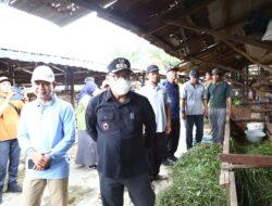 Penjabat Bupati PPU Tinjau Kandang Sapi: Fokus pada Optimalisasi Limbah untuk Pertanian Berkelanjutan