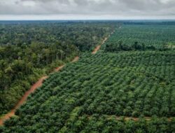 DPRD Kaltim Desak Peran Perusahaan Sawit, Wujudkan Hak Plasma Mayarakat Sesuai Ketentuan