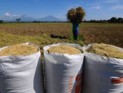 DPRD Kaltim Soroti Proyek Irigasi Paser Dan Kebutuhan Dukung Kedaulatan Bapokting Lokal