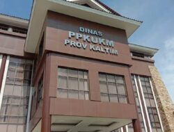 DPPKUKM Kaltim Perkuat Tim Kearsipan: Rekrut Lagi 2 Arsiparis Tahun Depan