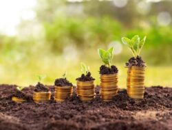 Kota Samarinda Miliki Potensi Investasi, DPMPTSP Harap Itu Mengundang Minat Investor