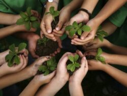 BPDAS Samarinda Gelar Aksi Penghijauan Akhir Tahun, Dukung Lingkungan Lebih Hijau