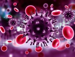 Legislator Kaltim: Perlu Perhatikan Kesehatan Pekerja Migran Di IKN