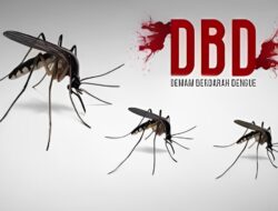 Dinkes Sebut Kaltim Ada Di Zona Merah Kasus DBD, Imbau Warga Tetap Waspada Lakukan Pencegahan