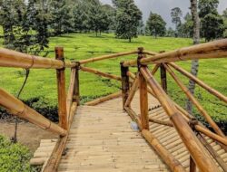 Pemdes Muara Enggelam Lanjutkan Pembangunan Jembatan Demi Tingkatkan Akses Transportasi