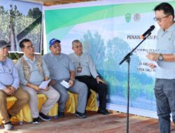 Asisten I Kukar Hadiri Kegiatan Penanaman Mangrove Dan Penaburan Benih Udang