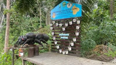 Madu Kelulut Jadi Harapan Baru Teluk Dalam