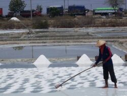 Kukar Kembangkan Produksi Garam Metode Tunnel di Desa Kersik