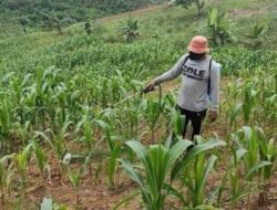 Muara Jawa Lirik Ekowisata sebagai Alternatif Penggerak Ekonomi Lokal