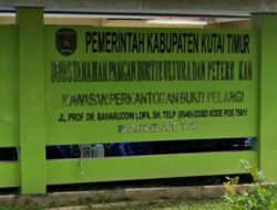 Pemkab Kutim Targetkan 10.000 Hektare Sawah Produktif untuk Tekan Ketergantungan Beras Luar
