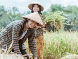 Teknologi Pertanian Modern Jadi Strategi Kutim untuk Menarik Kembali Minat Petani Muda
