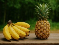 Pisang Kepok Grecek dan Nanas Jadi Tumpuan Baru, Petani Kecil Kutim Rasakan Peluang Pasar
