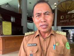 Camat Karangan Tegaskan Produksi Kakao Tetap Stabil, Pemerintah Diminta Perkuat Dukungan Teknis